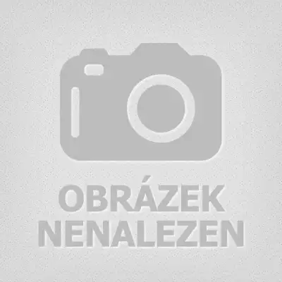 Ofici&aacute;ln&iacute; logo Plzeňsk&eacute;ho festivalu v&iacute;na