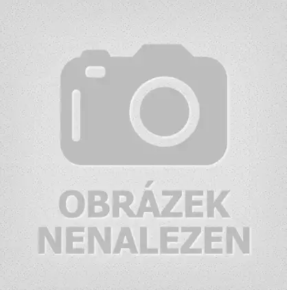 Svatomartinsk&eacute; v&iacute;no